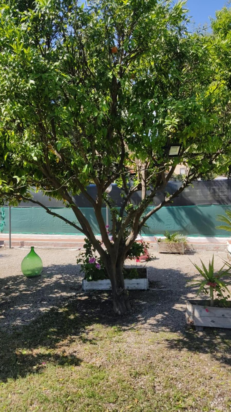 Garden Green Da Virna ตอร์เร อันนุนซิอาตา ภายนอก รูปภาพ