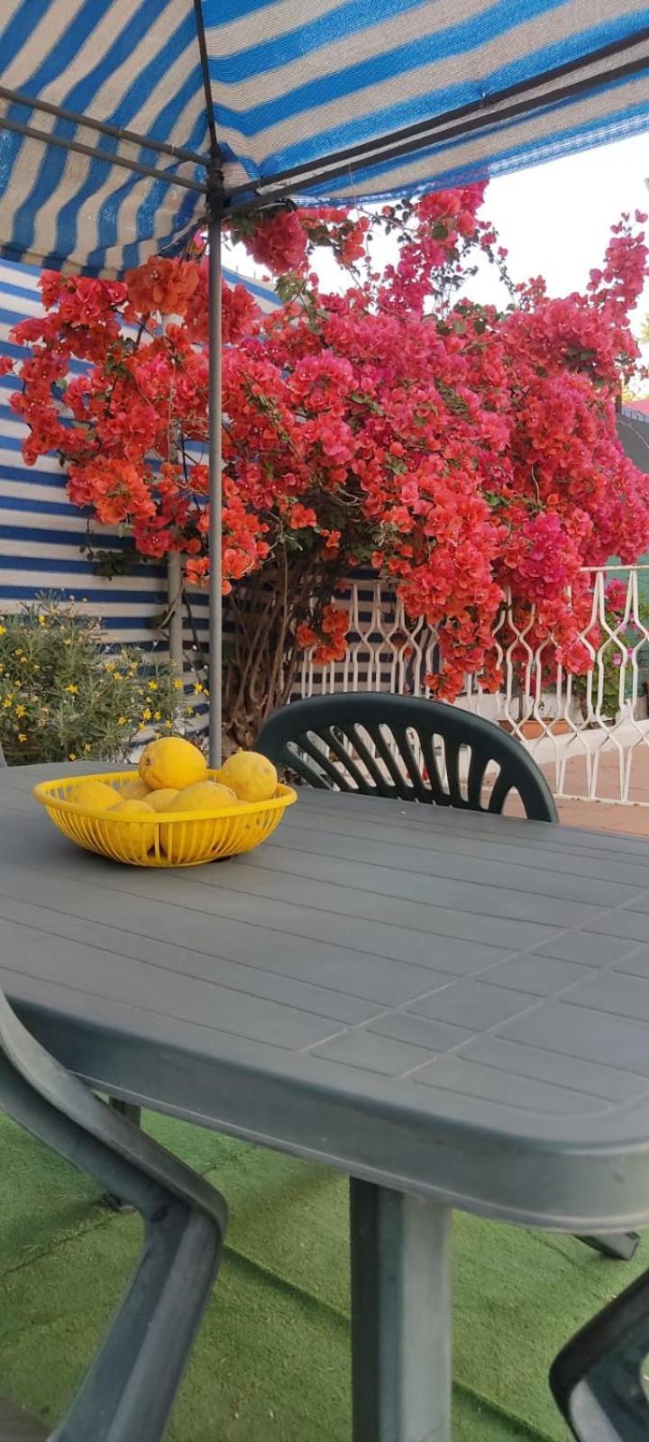Garden Green Da Virna ตอร์เร อันนุนซิอาตา ภายนอก รูปภาพ